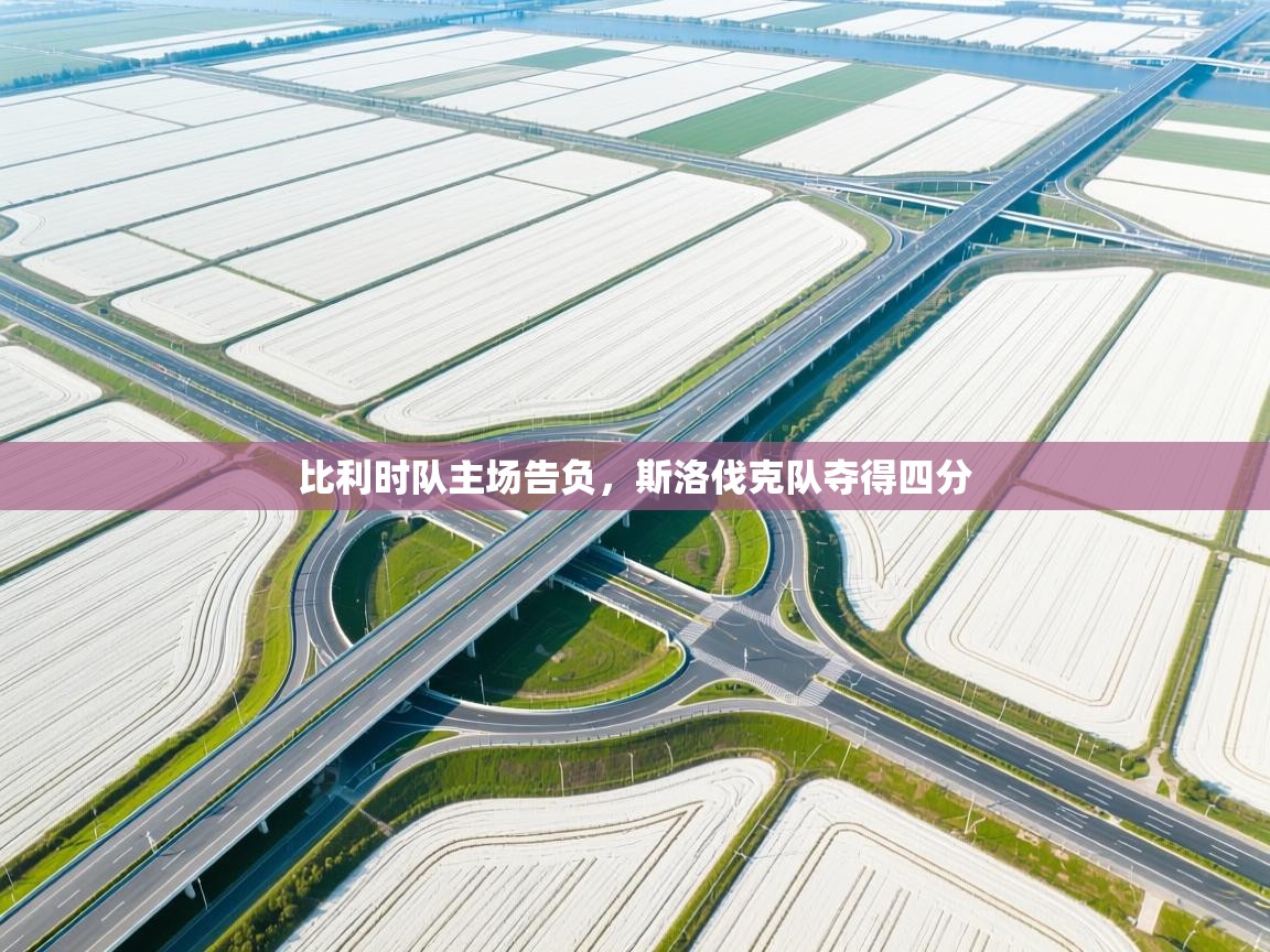 比利时队主场告负，斯洛伐克队夺得四分