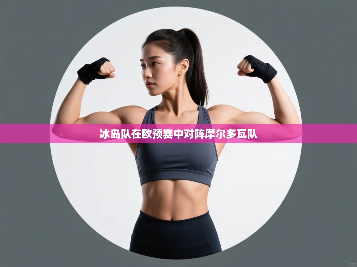 冰岛队在欧预赛中对阵摩尔多瓦队